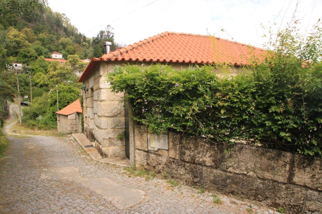 Douro Senses - Village House Cinfães Zewnętrze zdjęcie