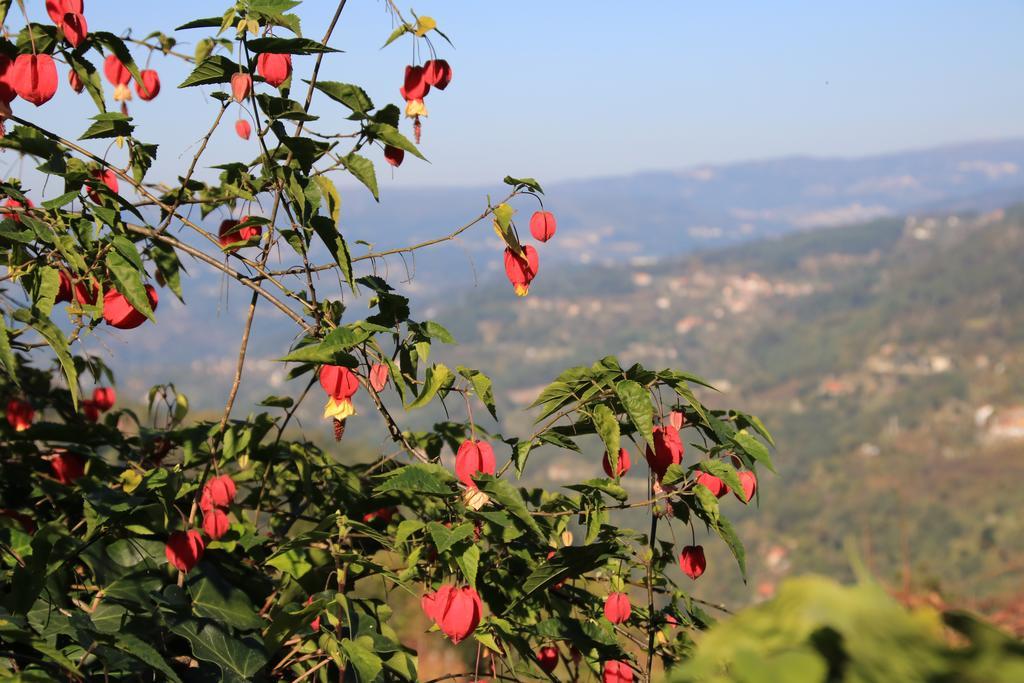 Douro Senses - Village House Cinfães Pokój zdjęcie