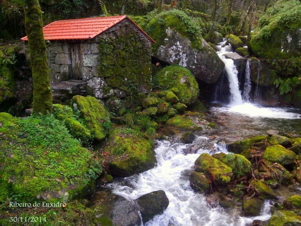 Douro Senses - Village House Cinfães Pokój zdjęcie