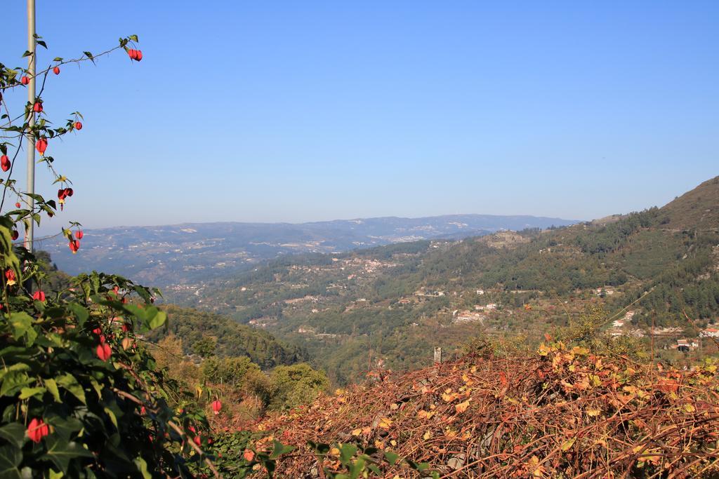 Douro Senses - Village House Cinfães Zewnętrze zdjęcie