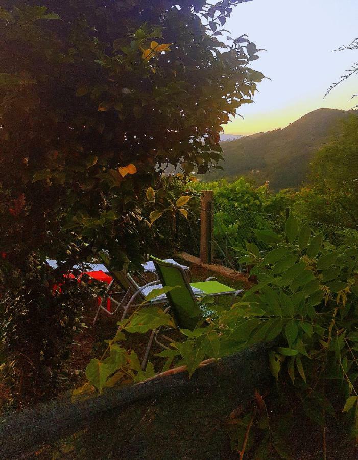Douro Senses - Village House Cinfães Zewnętrze zdjęcie